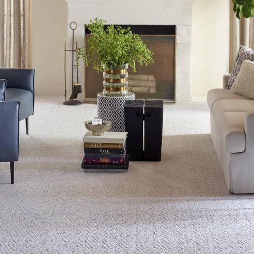 Living Room Pattern Carpet - Floorco of Rochester in Rochester, MN